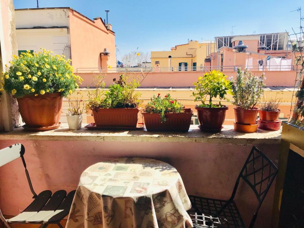Green Guesthouse Ρώμη Εξωτερικό φωτογραφία
