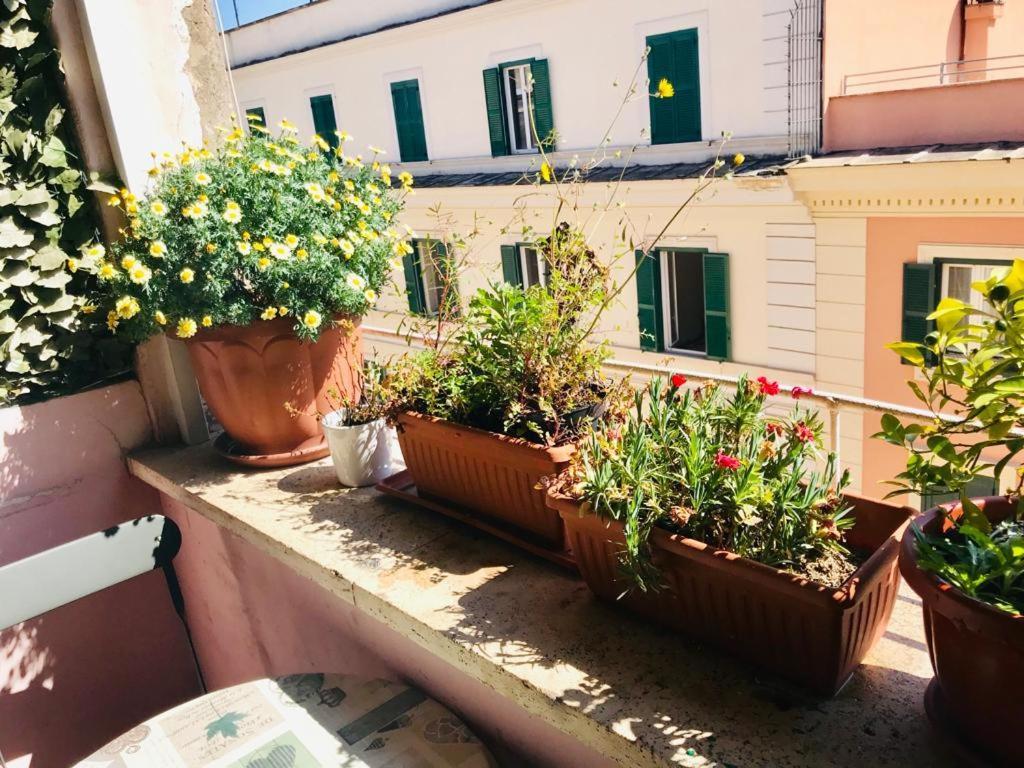 Green Guesthouse Ρώμη Εξωτερικό φωτογραφία