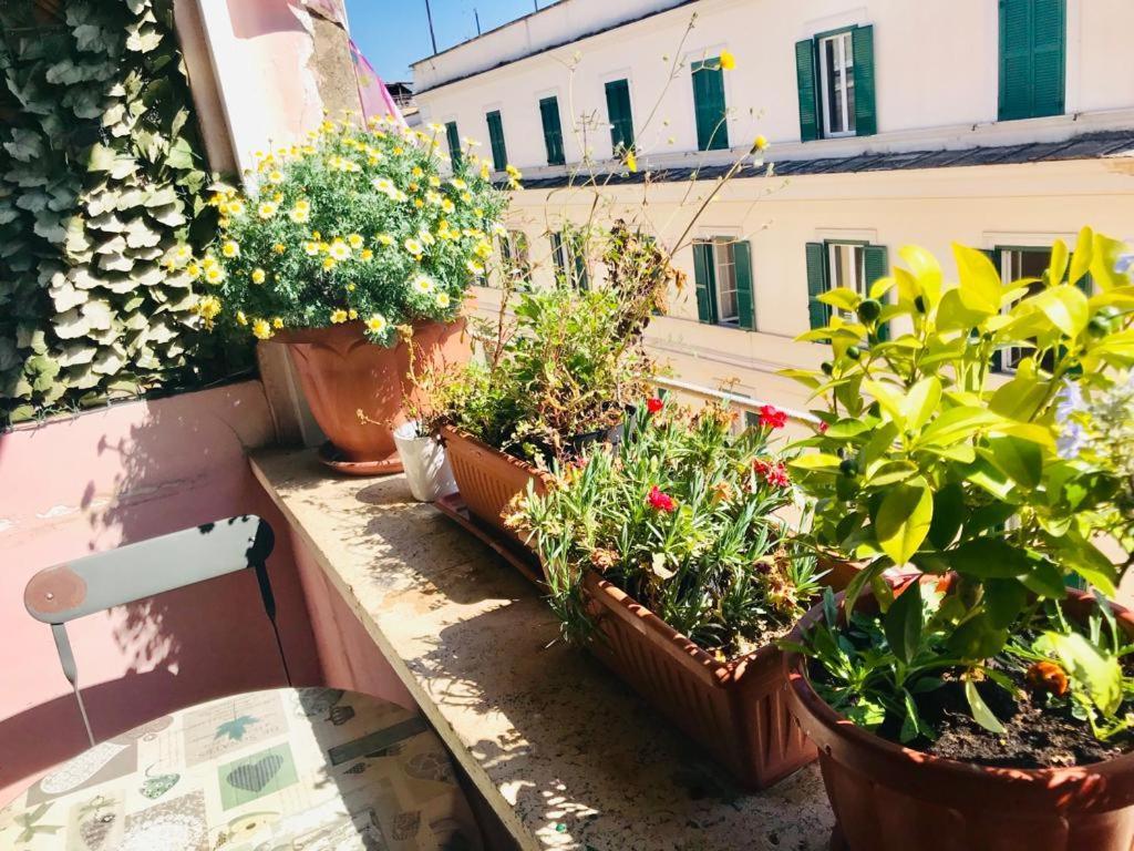 Green Guesthouse Ρώμη Εξωτερικό φωτογραφία