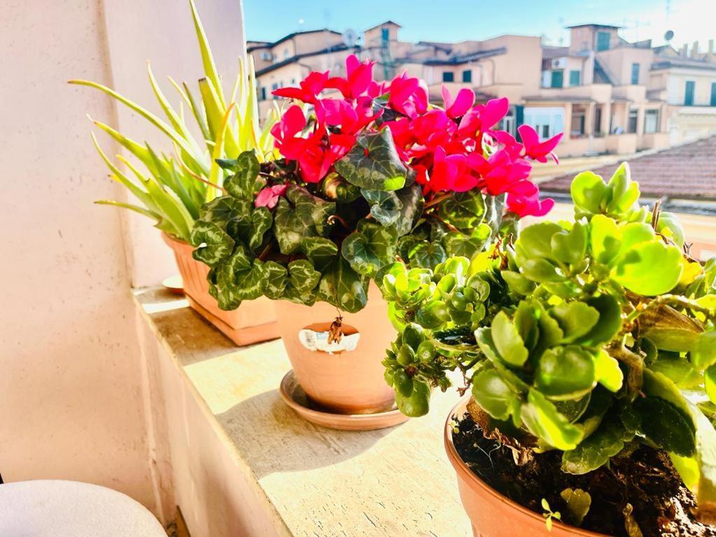 Green Guesthouse Ρώμη Εξωτερικό φωτογραφία