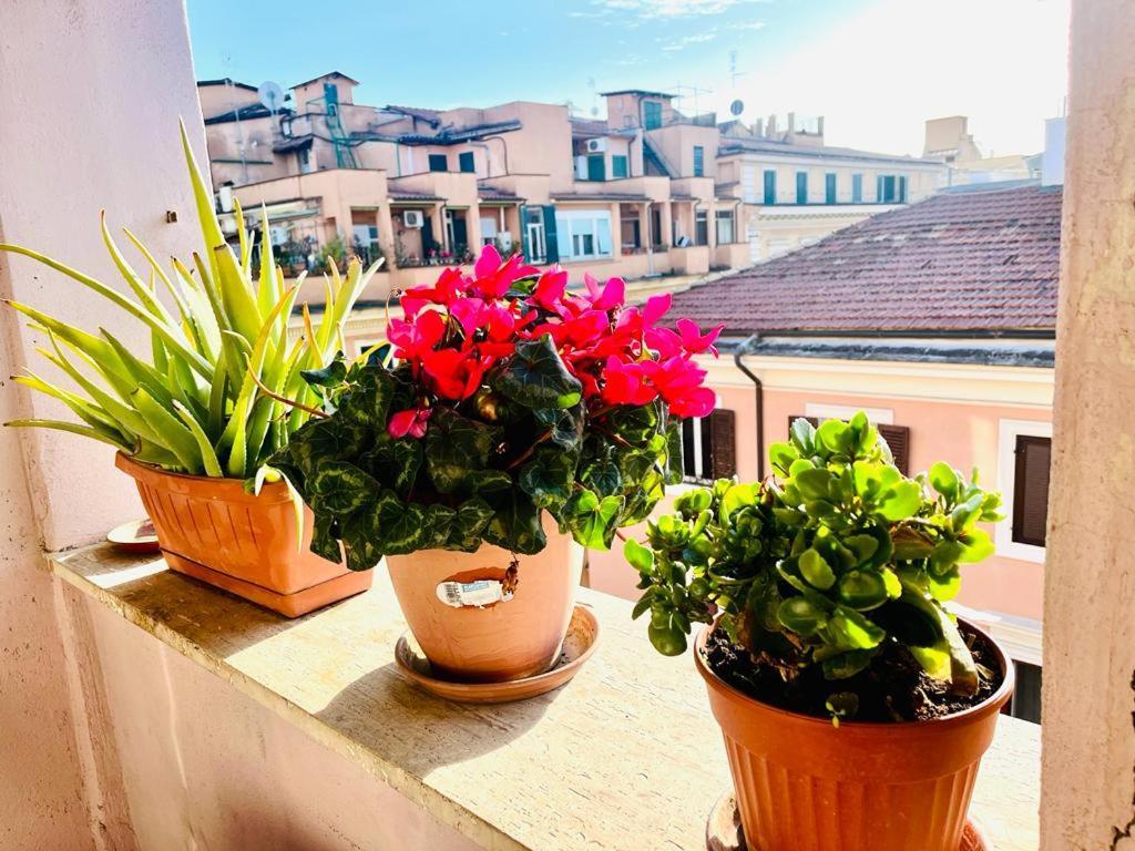Green Guesthouse Ρώμη Εξωτερικό φωτογραφία
